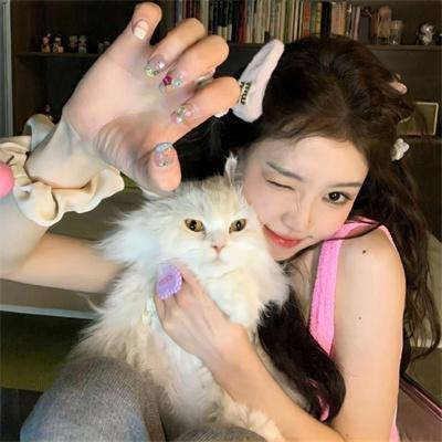 全职高手特别篇